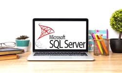 complete-microsoft-sql-server-from-scratch-for-beginners-to-expert